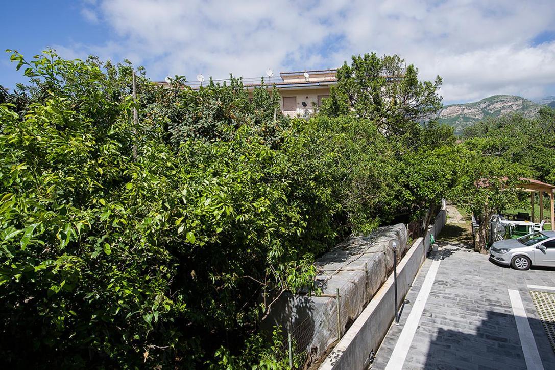 Casa Aristide Acomodação com café da manhã Sant'Agnello Exterior foto